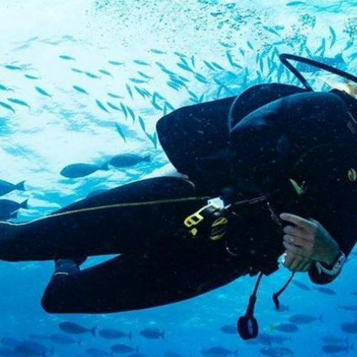 다이빙 경험자를 위한 레저 다이빙 (코타키나발루)