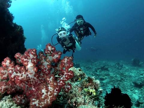 발리 스킨스쿠버 난파선 체험다이빙 :: 인도네시아/발리 - 마이리얼트립