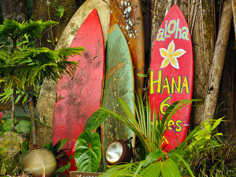 단 한 가족만! 지상의 낙원 하와이를 천천히~여유롭게~하루만에 알짜배기 투어!  :: 나다운 진짜 여행