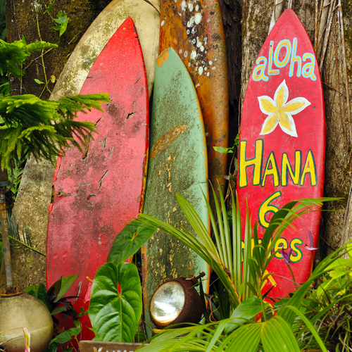 [오아후 YJ투어] 단한가족만! 지상낙원 하와이를 천천히~여유롭게~알짜배기 섬투어!